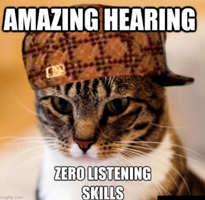 AMAZING HEARING imgflip.com ZERO LISTENING SKILLS