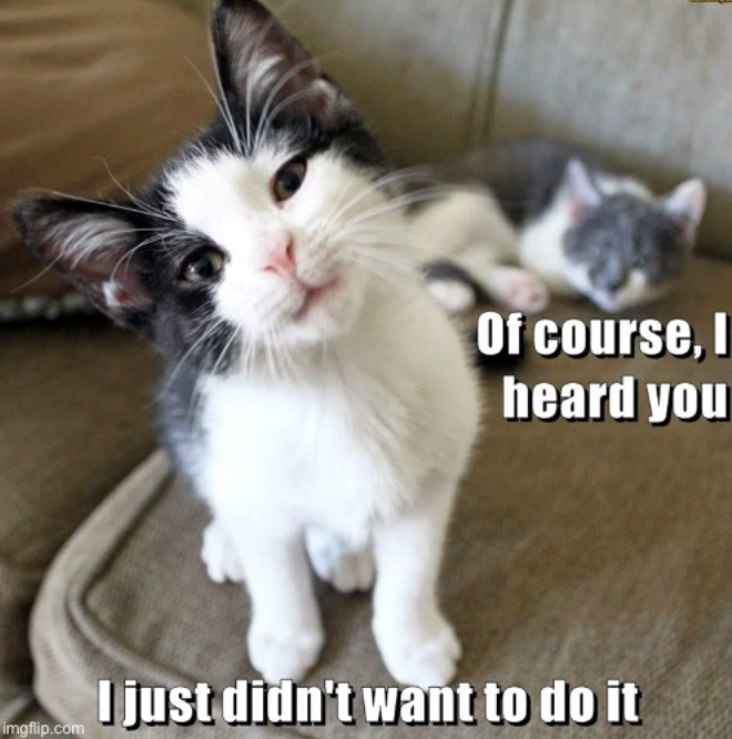 Of course, I heard you imgflip.com I just didn't want to do it