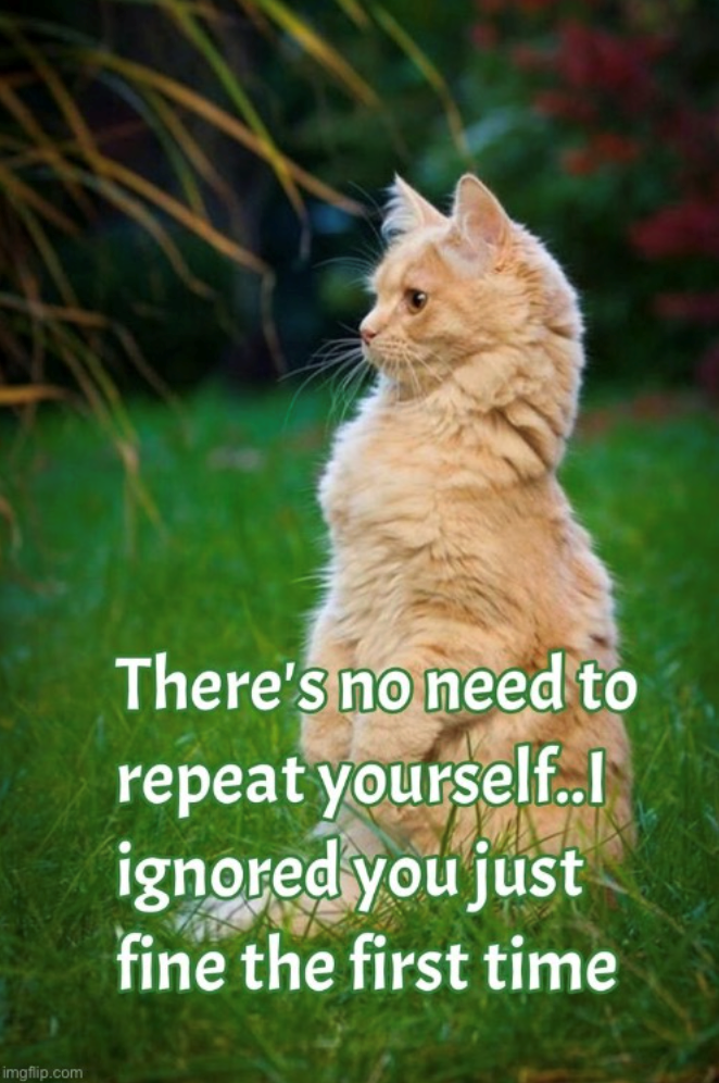 imgflip.com There's no need to repeat yourself..l ignored you just fine the first time