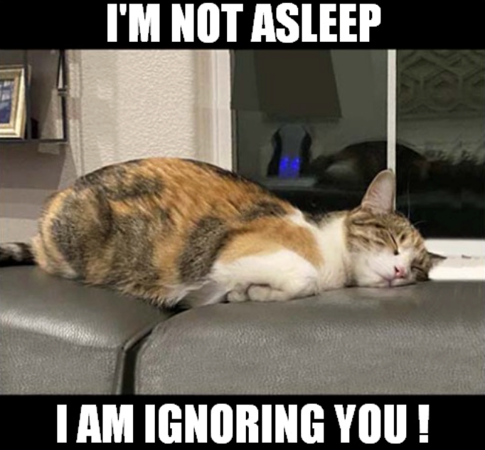 I'M NOT ASLEEP I AM IGNORING YOU!