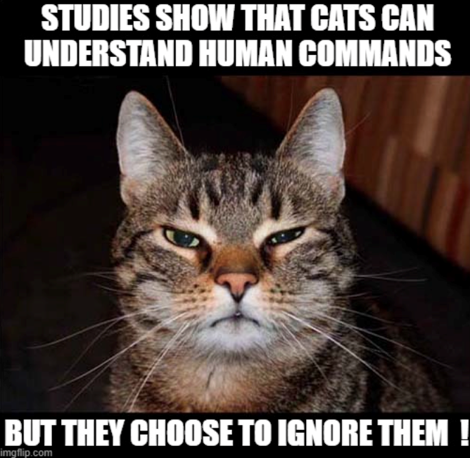 STUDIES SHOW THAT CATS CAN UNDERSTAND HUMAN COMMANDS BUT THEY CHOOSE TO IGNORE THEM! imgflip.com