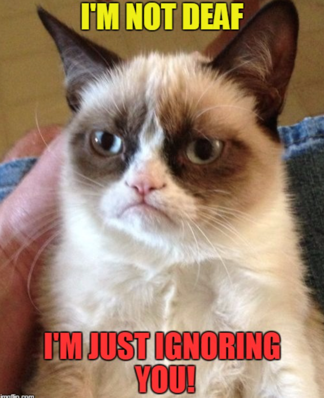 imaflip.com I'M NOT DEAF I'M JUST IGNORING YOU!