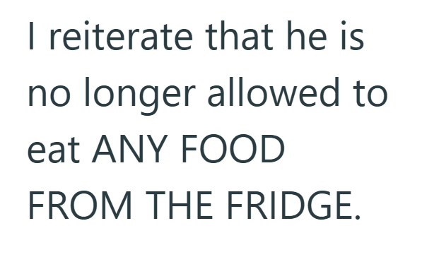 I reiterate that he is no longer allowed to eat ANY FOOD FROM THE FRIDGE.