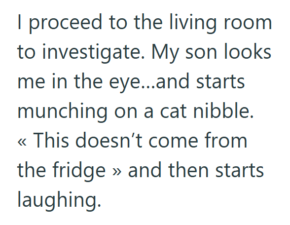 I proceed to the living room to investigate. My son looks me in the eye...and starts munching on a cat nibble. << This doesn't come from the fridge >> and then starts laughing.