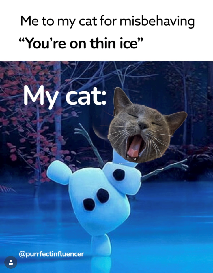 Me to my cat for misbehaving "You're on thin ice" My cat: @purrfectinfluencer