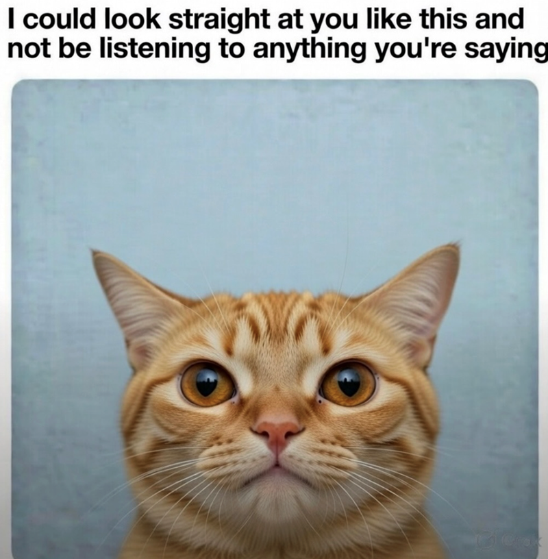 I could look straight at you like this and not be listening to anything you're saying