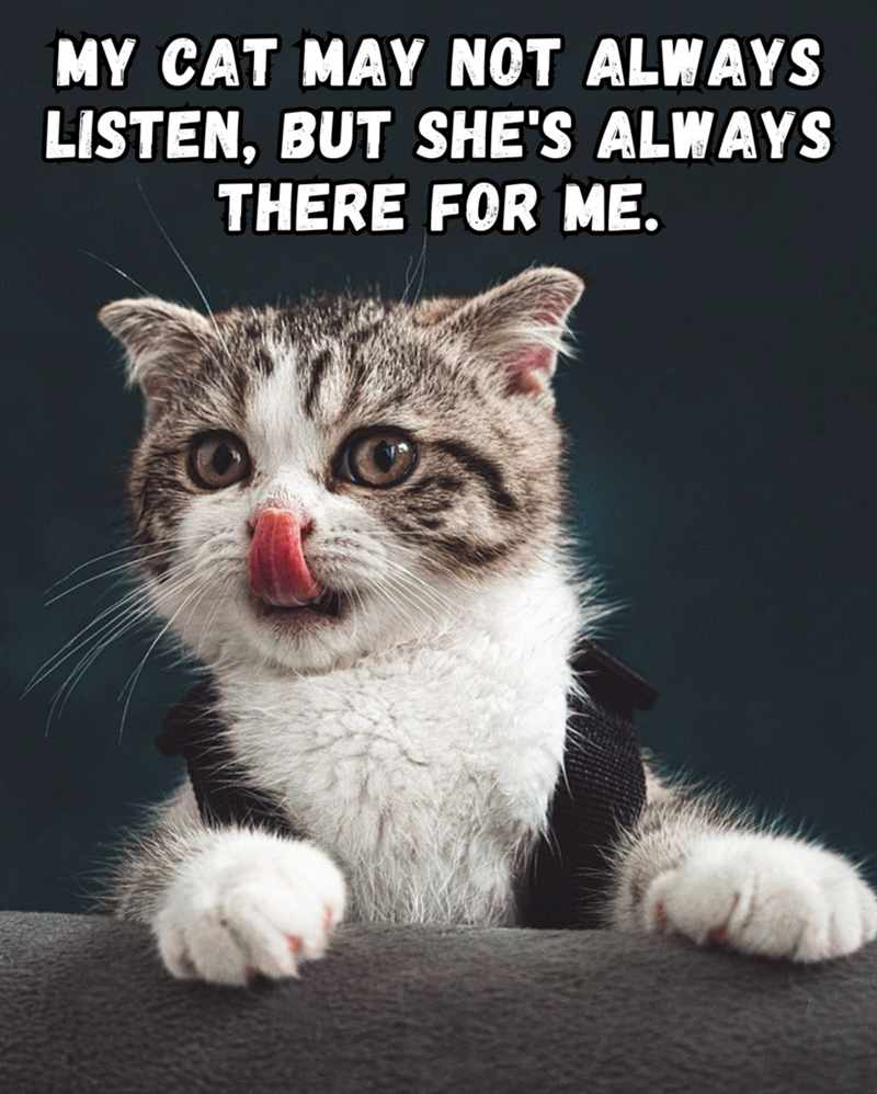MY CAT MAY NOT ALWAYS LISTEN, BUT SHE'S ALWAYS THERE FOR ME.