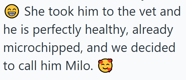 She took him to the vet and he is perfectly healthy, already microchipped, and we decided to call him Milo.