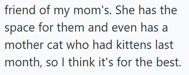 friend of my mom's. She has the space for them and even has a mother cat who had kittens last month, so I think it's for the best.