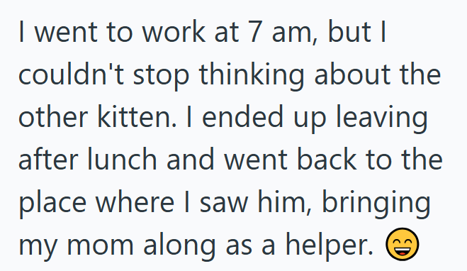 I went to work at 7 am, but I couldn't stop thinking about the other kitten. I ended up leaving after lunch and went back to the place where I saw him, bringing my mom along as a helper. D