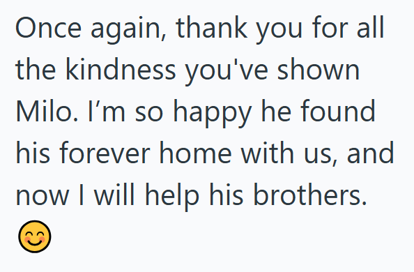 Once again, thank you for all the kindness you've shown Milo. I'm so happy he found his forever home with us, and now I will help his brothers.
