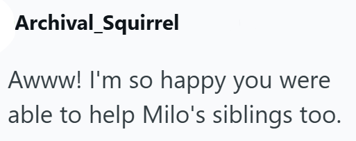 Archival Squirrel Awww! I'm so happy you were able to help Milo's siblings too.