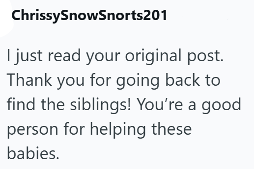 ChrissySnowSnorts201 I just read your original post. Thank you for going back to find the siblings! You're a good person for helping these babies.