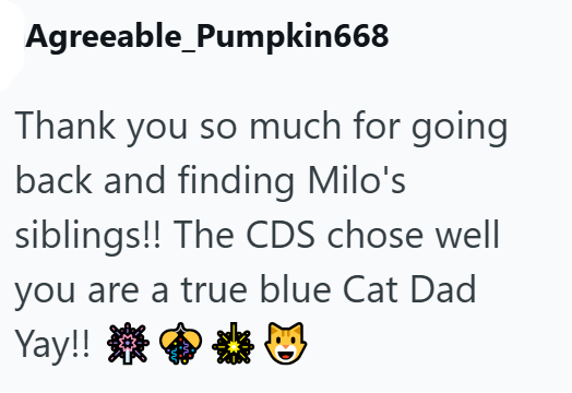 Agreeable_Pumpkin668 Thank you so much for going back and finding Milo's siblings!! The CDS chose well you are a true blue Cat Dad ☺ Yay!! **