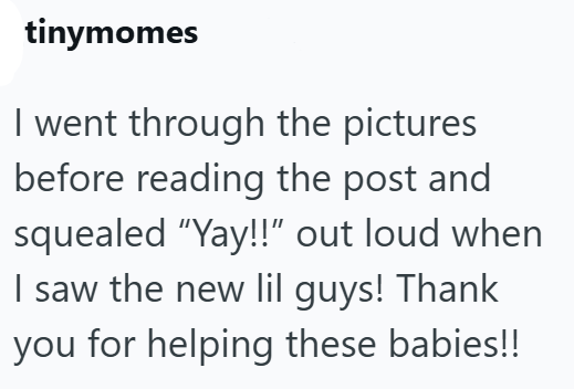 tinymomes I went through the pictures before reading the post and squealed "Yay!!" out loud when I saw the new lil guys! Thank you for helping these babies!!