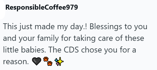 ResponsibleCoffee979 This just made my day.! Blessings to you and your family for taking care of these little babies. The CDS chose you for a reason.