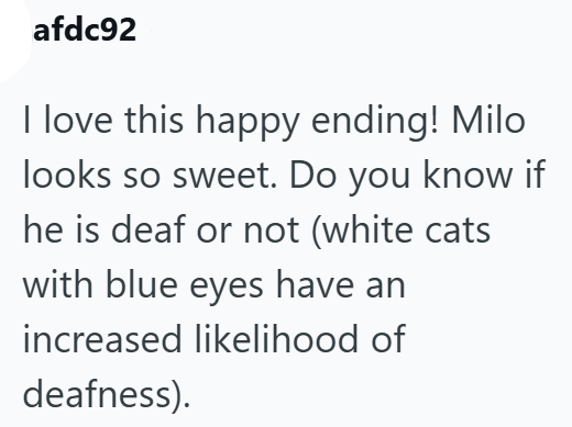 afdc92 I love this happy ending! Milo looks so sweet. Do you know if he is deaf or not (white cats with blue eyes have an increased likelihood of deafness).