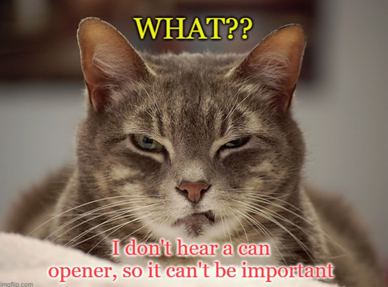 WHAT?? imgflip.com I don't hear a can opener, so it can't be important