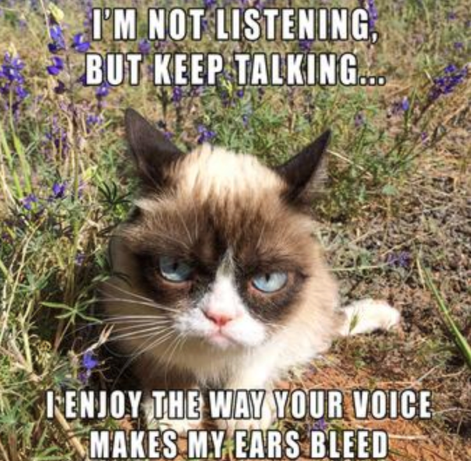 I'M NOT LISTENING, BUT KEEP TALKING.... RENJOY THE WAY YOUR VOICE MAKES MY EARS BLEED