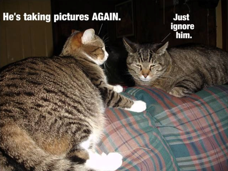 He's taking pictures AGAIN. Just ignore him.