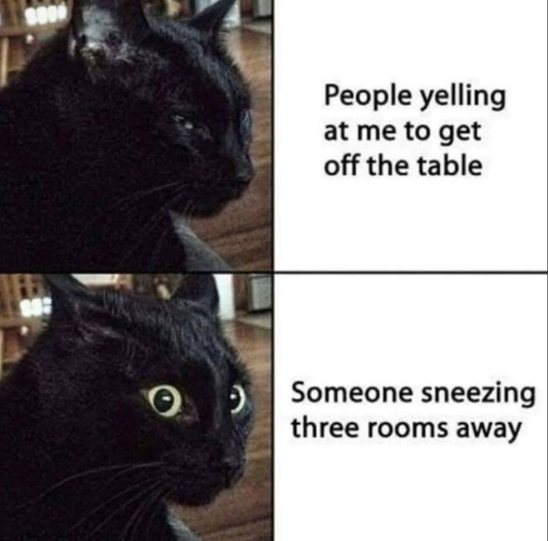 O People yelling at me to get off the table Someone sneezing three rooms away