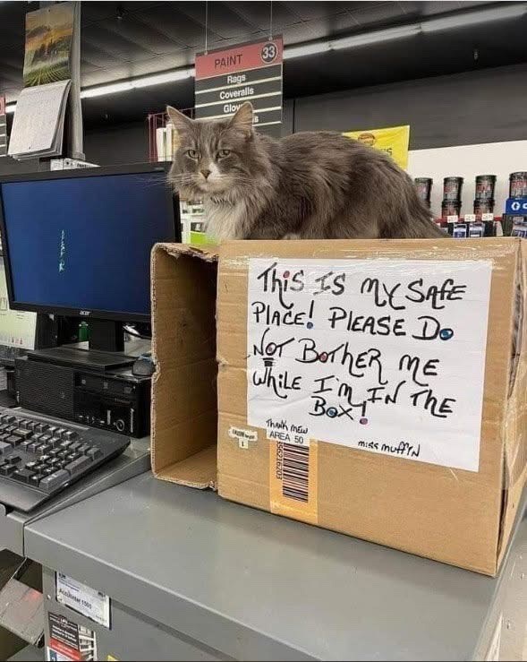 PAINT 33 A 1500 Rags Coveralls Gloy This Is My Safe PIACE! PLEASE DO NOT BOTHER ME While I'M IN THE Box! Thank mew AREA 50 miss muffin 356216203