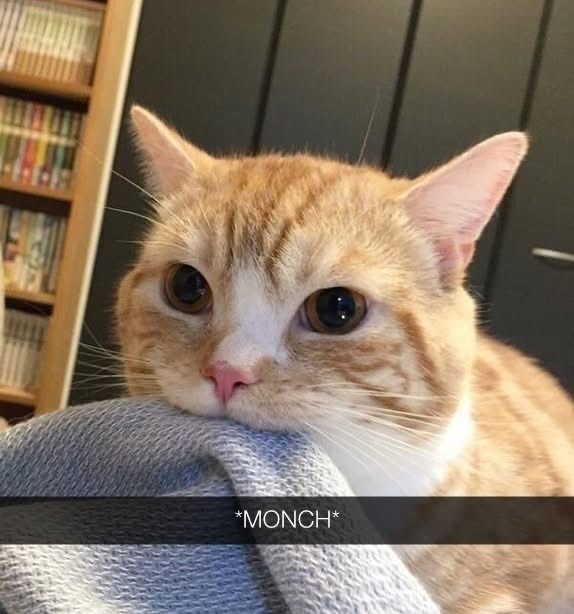 *MONCH*