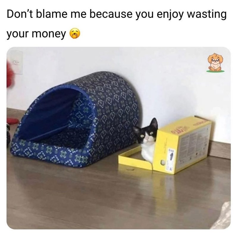 Don't blame me because you enjoy wasting your money ☑
