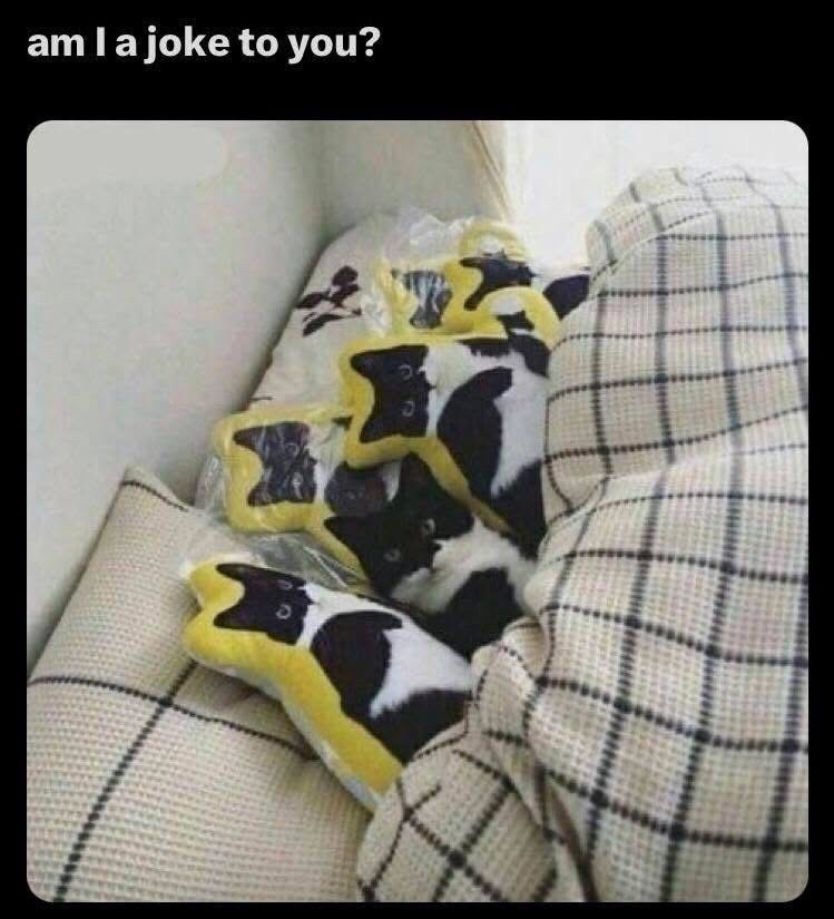 am I a joke to you? 9
