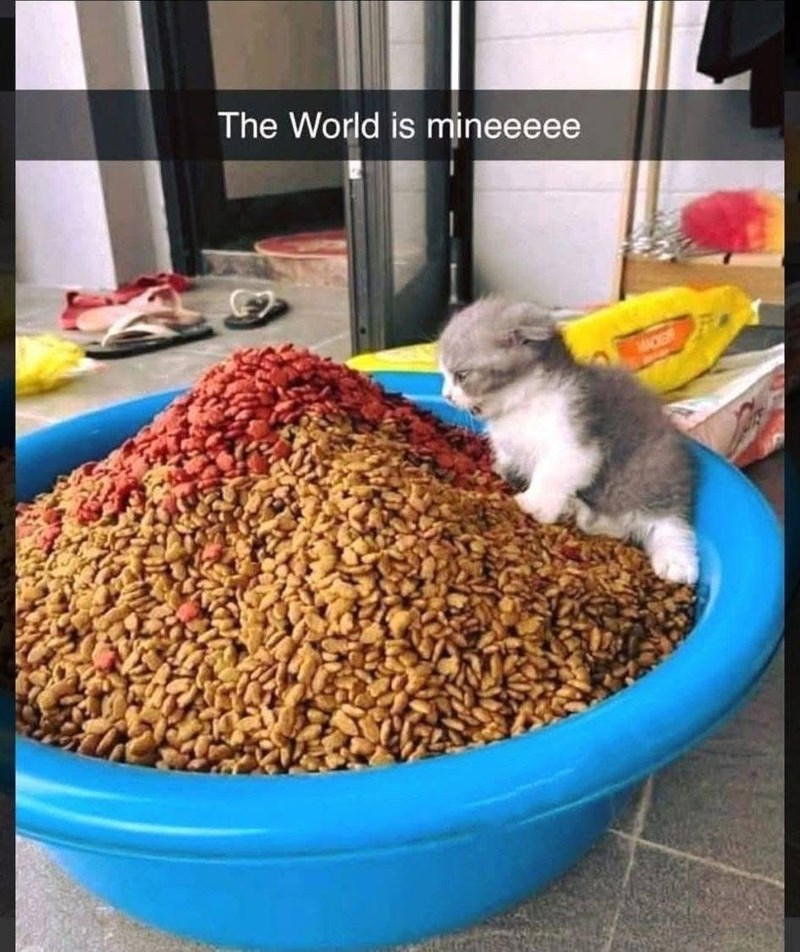 The World is mineeeee