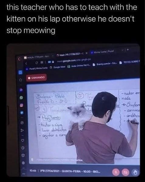 this teacher who has to teach with the kitten on his lap otherwise he doesn't stop meowing 0 A © 3 Apm Meet 35 (17/06/2021-x Minha Conta Por meet.google.com/sh-gngb-jo Pal Me Conta Google Meet As Online Fr-V GRAVANDO Biologia Pablo Frente .38 unt 4 Taxcolas Profilaxa: -tratar a aque lavar alimentos cynhar o a carr Tr usa Brainly.com.br - Est. TESTES SOBRE 10:46 308 (17/06/2021-QUINTA-FEIRA-10:20-BIO... -nadar em nada Smfor -Corrim ardenc