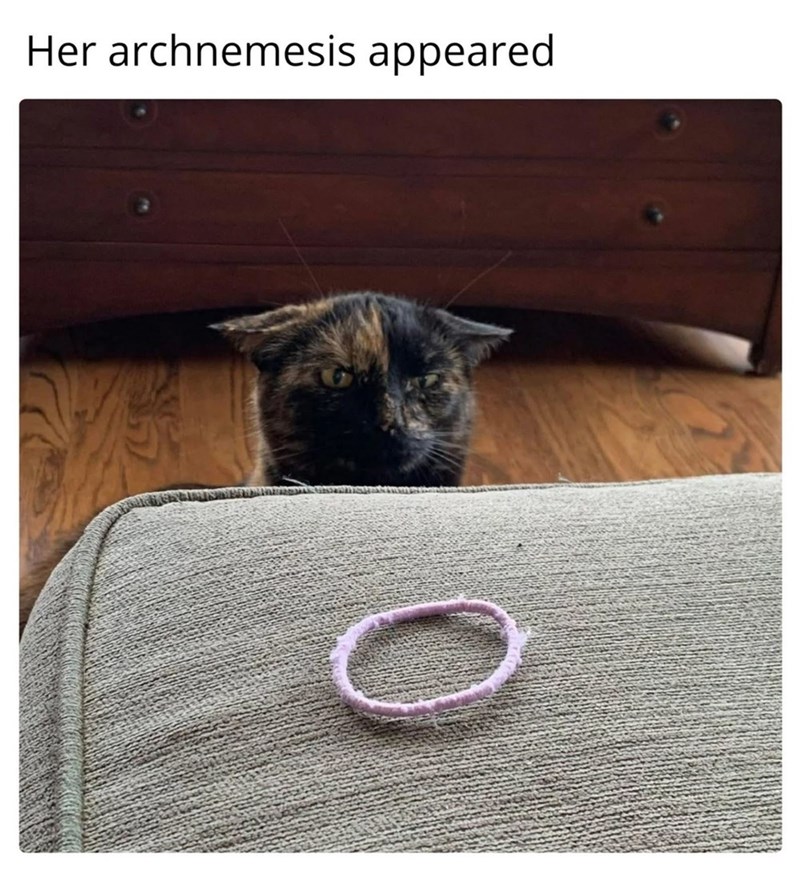 Her archnemesis appeared