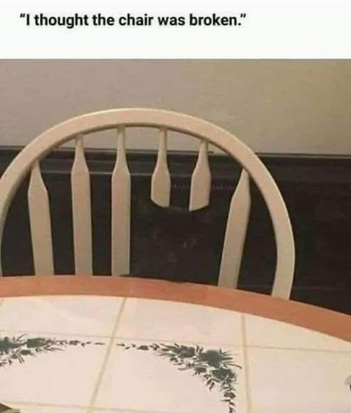"I thought the chair was broken." שון
