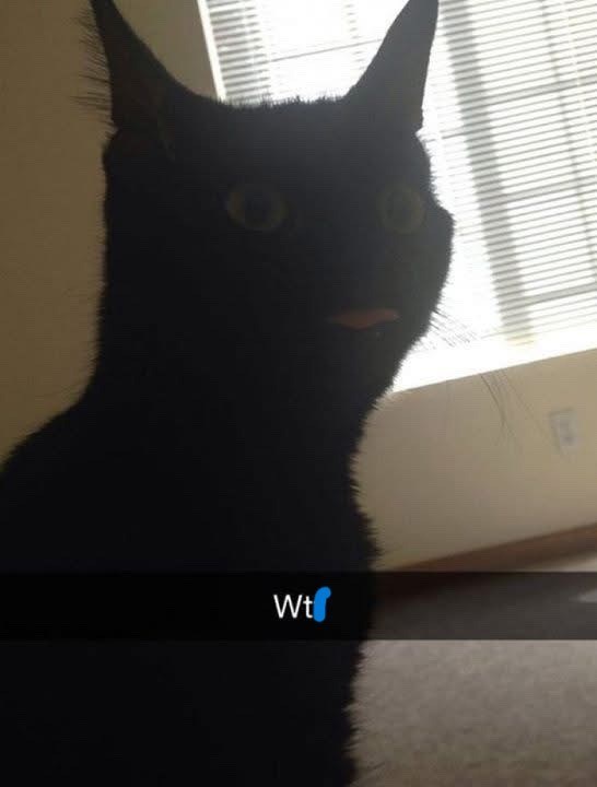 Wt