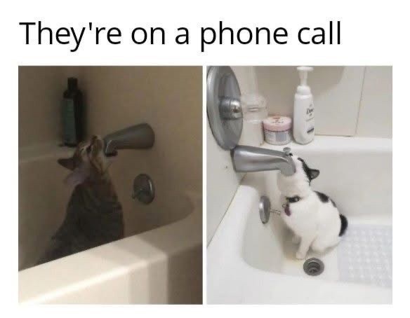 They're on a phone call