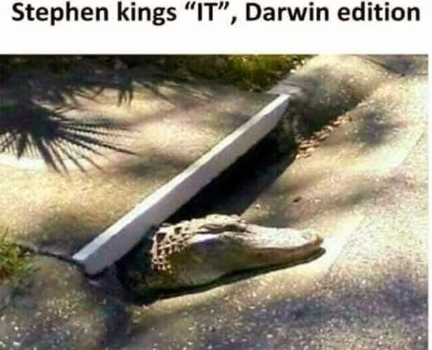 Stephen kings "IT", Darwin edition