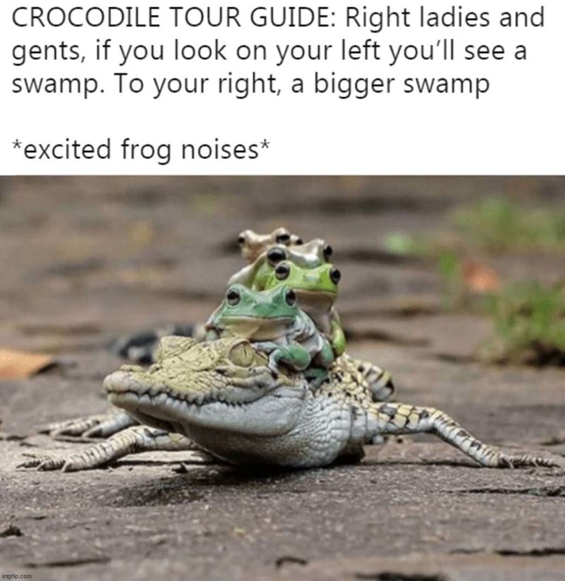 CROCODILE TOUR GUIDE: Right ladies and gents, if you look on your left you'll see a swamp. To your right, a bigger swamp *excited frog noises* imgflip.com