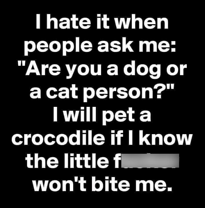 I hate it when people ask me: "Are you a dog or a cat person?" I will pet a crocodile if I know the little fl won't bite me.