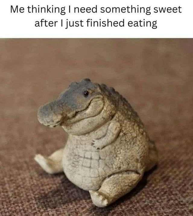 Me thinking I need something sweet after I just finished eating
