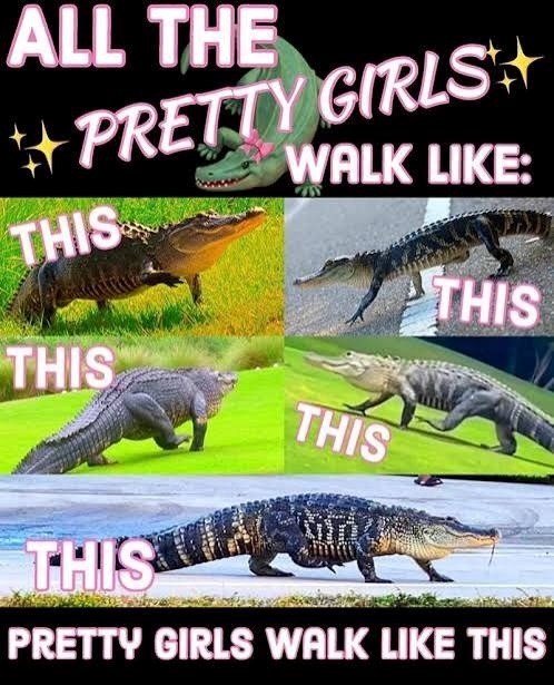 ALL THE PRETTY GIRLS WALK LIKE: THIS THIS THIS THIS THIS PRETTY GIRLS WALK LIKE THIS