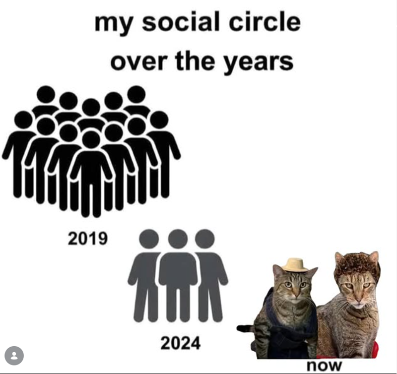 my social circle over the years 2019 2024 now