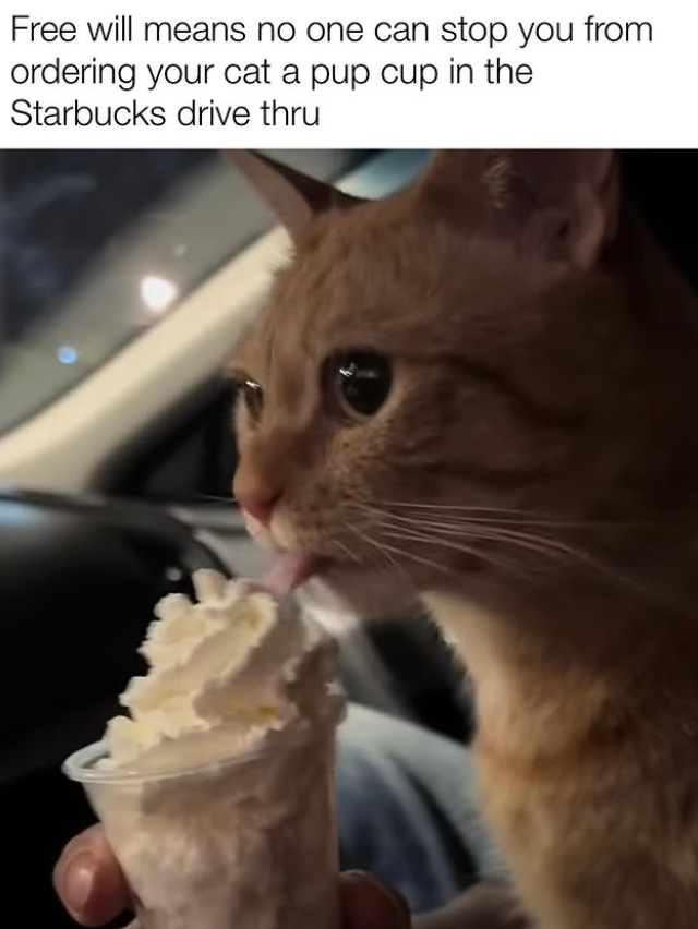 Free will means no one can stop you from ordering your cat a pup cup in the Starbucks drive thru