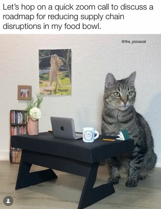 Let's hop on a quick zoom call to discuss a roadmap for reducing supply chain disruptions in my food bowl. Hang in there! @the_pizzacat