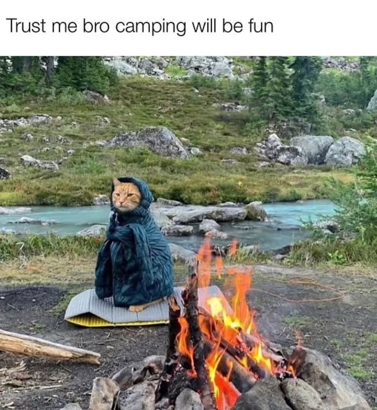 Trust me bro camping will be fun