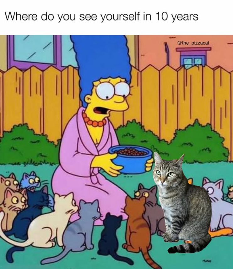 Where do you see yourself in 10 years 34 @the_pizzacat