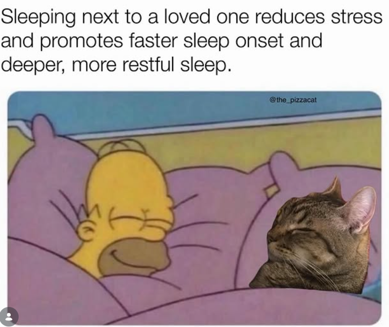 Sleeping next to a loved one reduces stress and promotes faster sleep onset and deeper, more restful sleep. @the_pizzacat