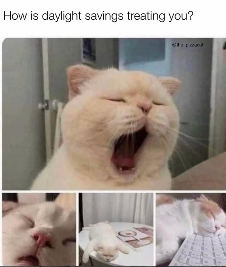 How is daylight savings treating you? @the_pizzacat -