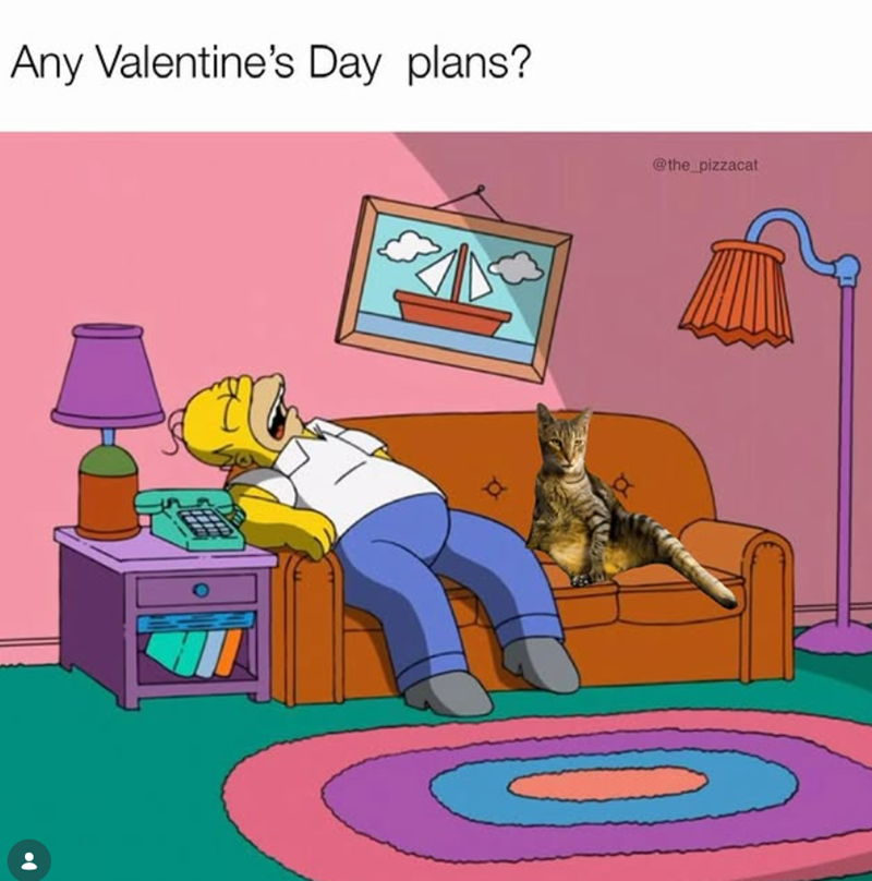 Any Valentine's Day plans? α @the_pizzacat