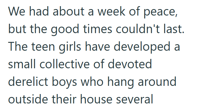We had about a week of peace, but the good times couldn't last. The teen girls have developed a small collective of devoted derelict boys who hang around outside their house several
