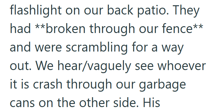 flashlight on our back patio. They had **broken through our fence** and were scrambling for a way out. We hear/vaguely see whoever it is crash through our garbage cans on the other side. His